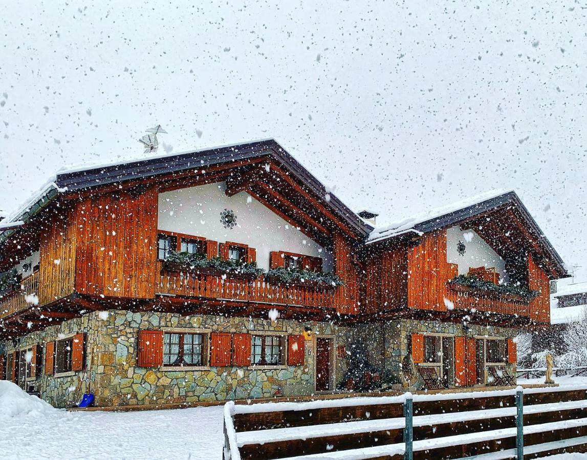 Ca'Milla B&B Nelle Dolomiti ピエーヴェ・ディ・カドーレ エクステリア 写真